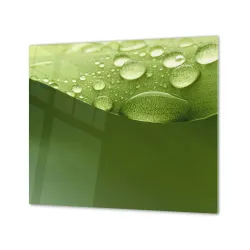 Ochranná doska abstraktný list s rosou