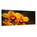 Obraz skleněný oranžový květ orchideje